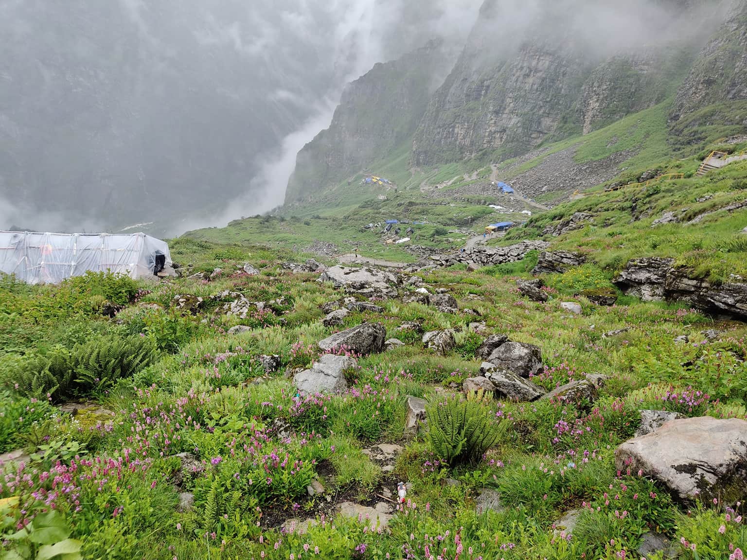 Photo from Swarna Mazumder's trip