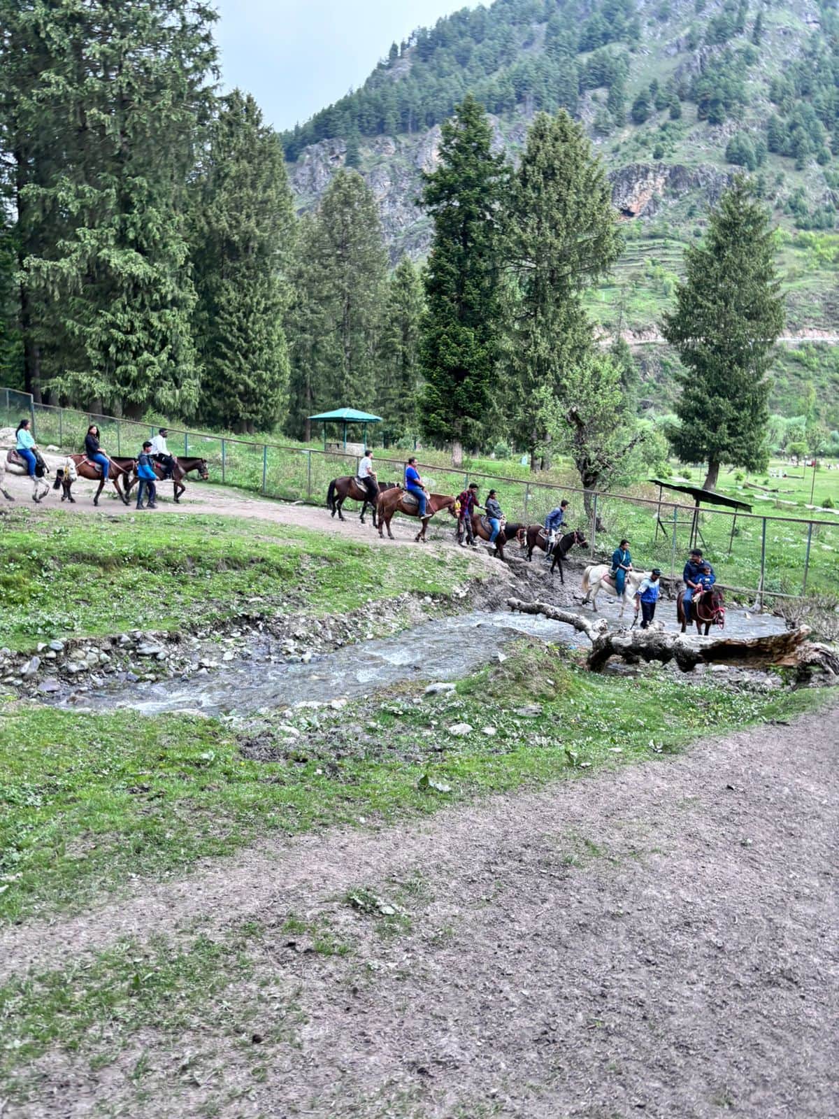 Photo from raj raj's trip