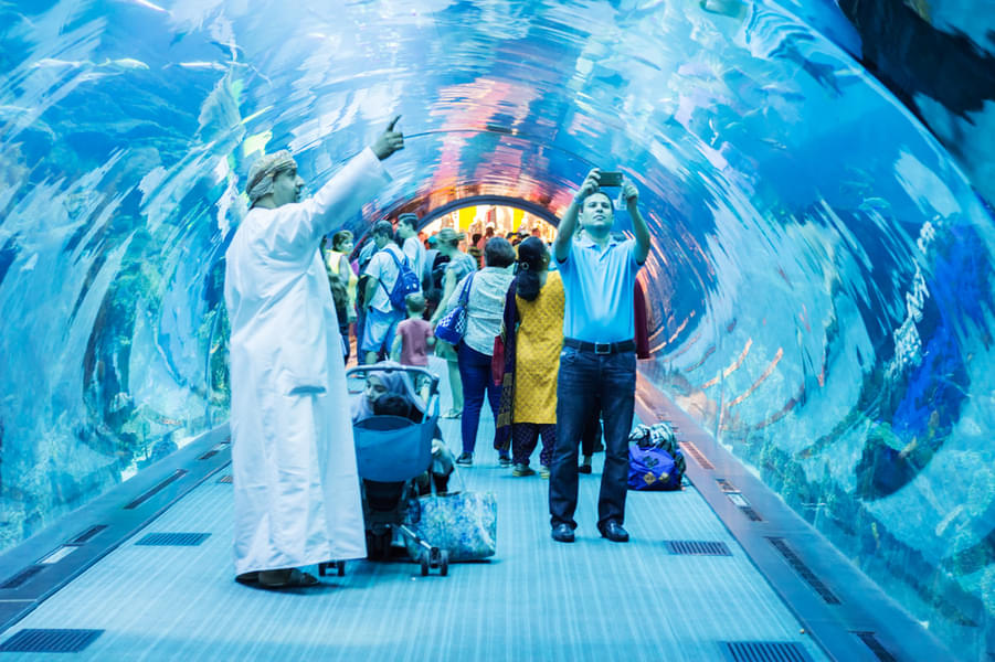 Pass through Dubai Aquarium Tunnel and see various aquatic creatures