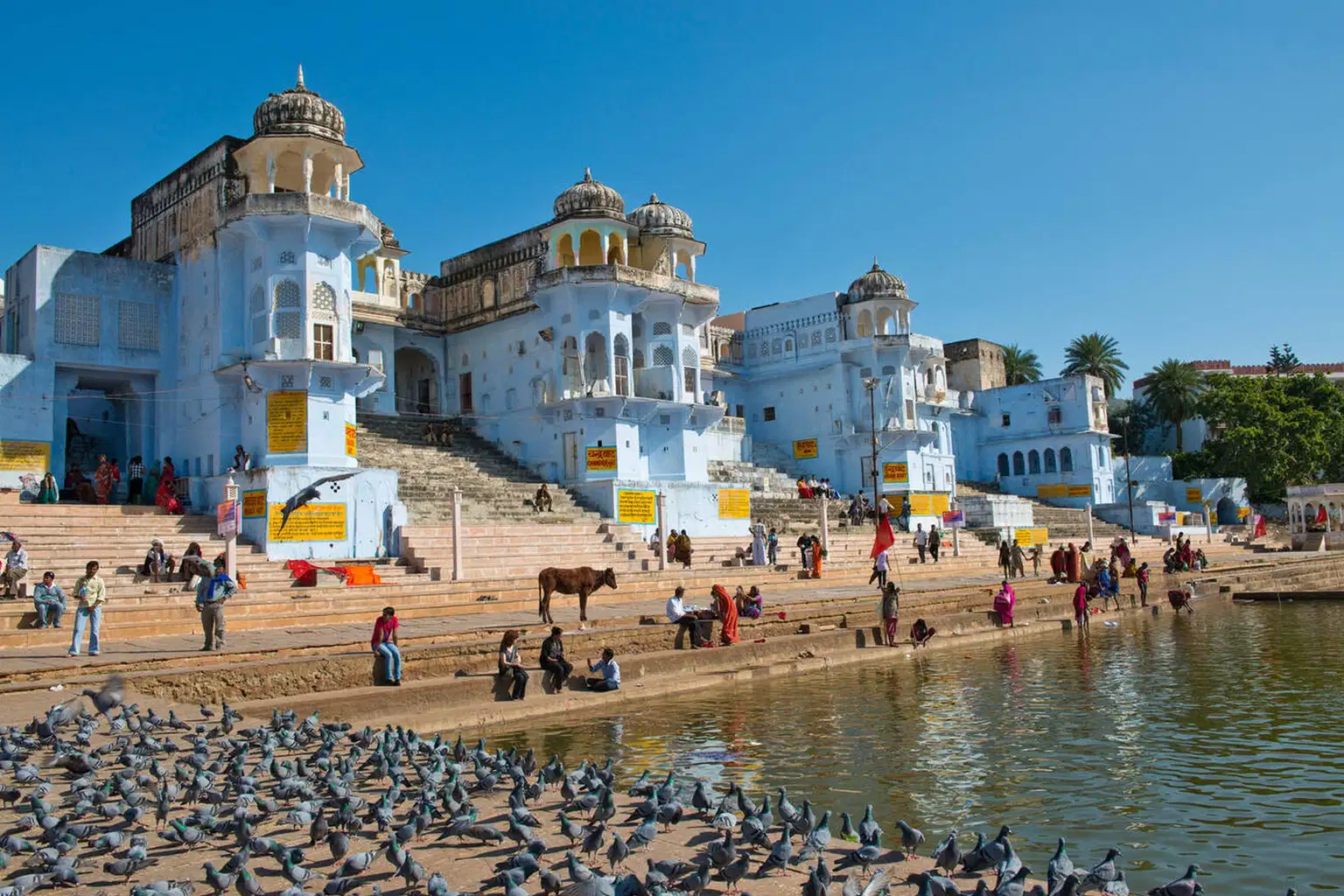 Day Trip From Jaipur to Pushkar