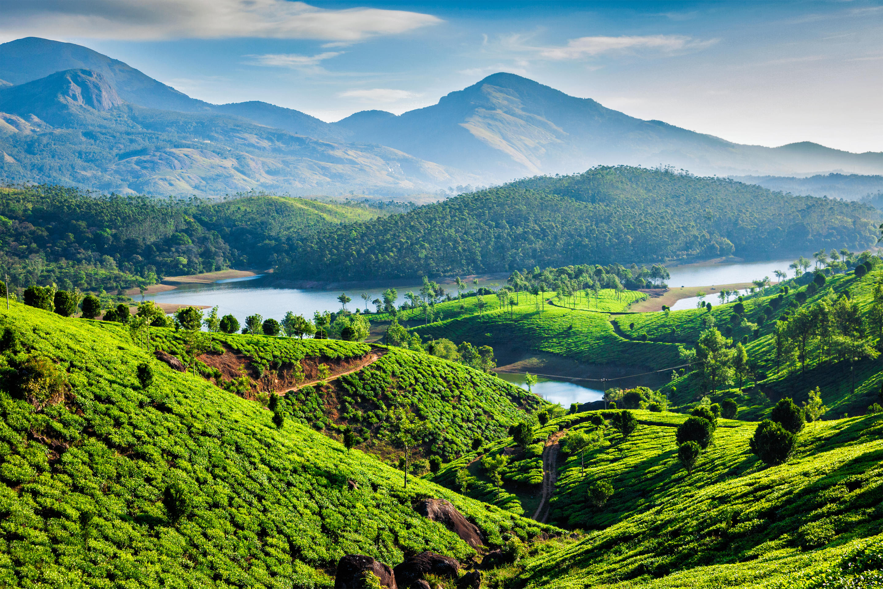 Munnar Packages from Coimbatore | Get Upto 50% Off