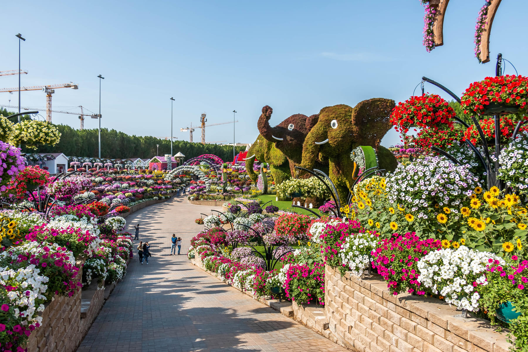 The Miracle Garden surely seems like a pathway to heaven