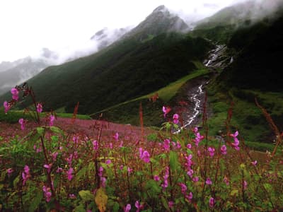 Valley of Flowers Trek Day 2