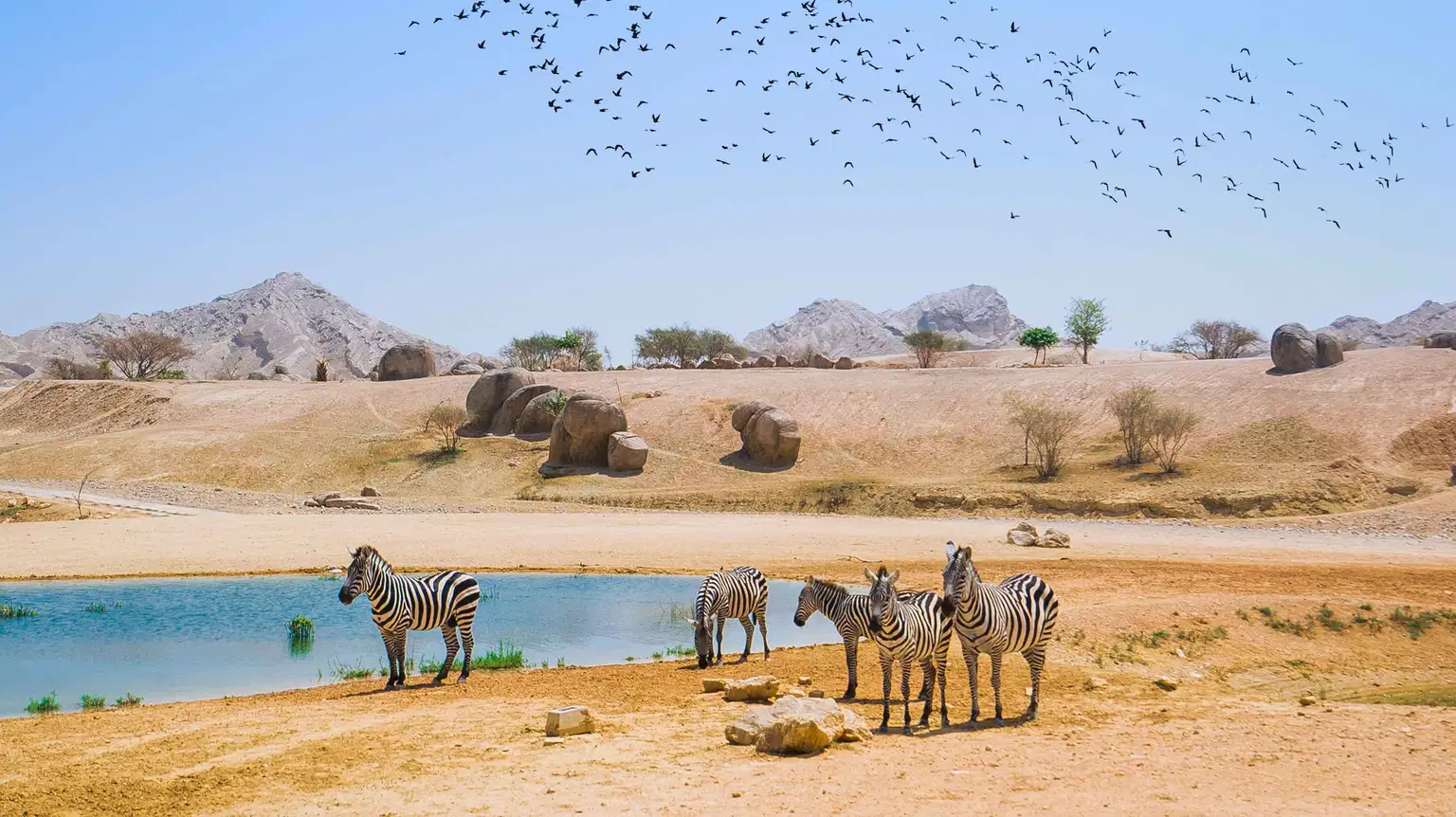 Arabian Wildlife Park Tickets, Abu Dhabi