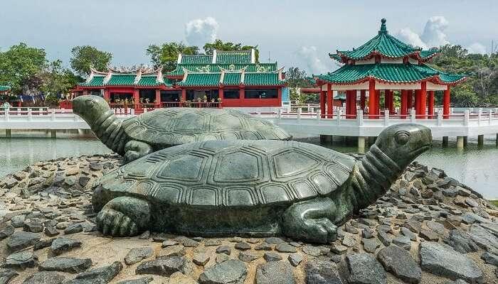 Get to see the giant tortoise structure at this island