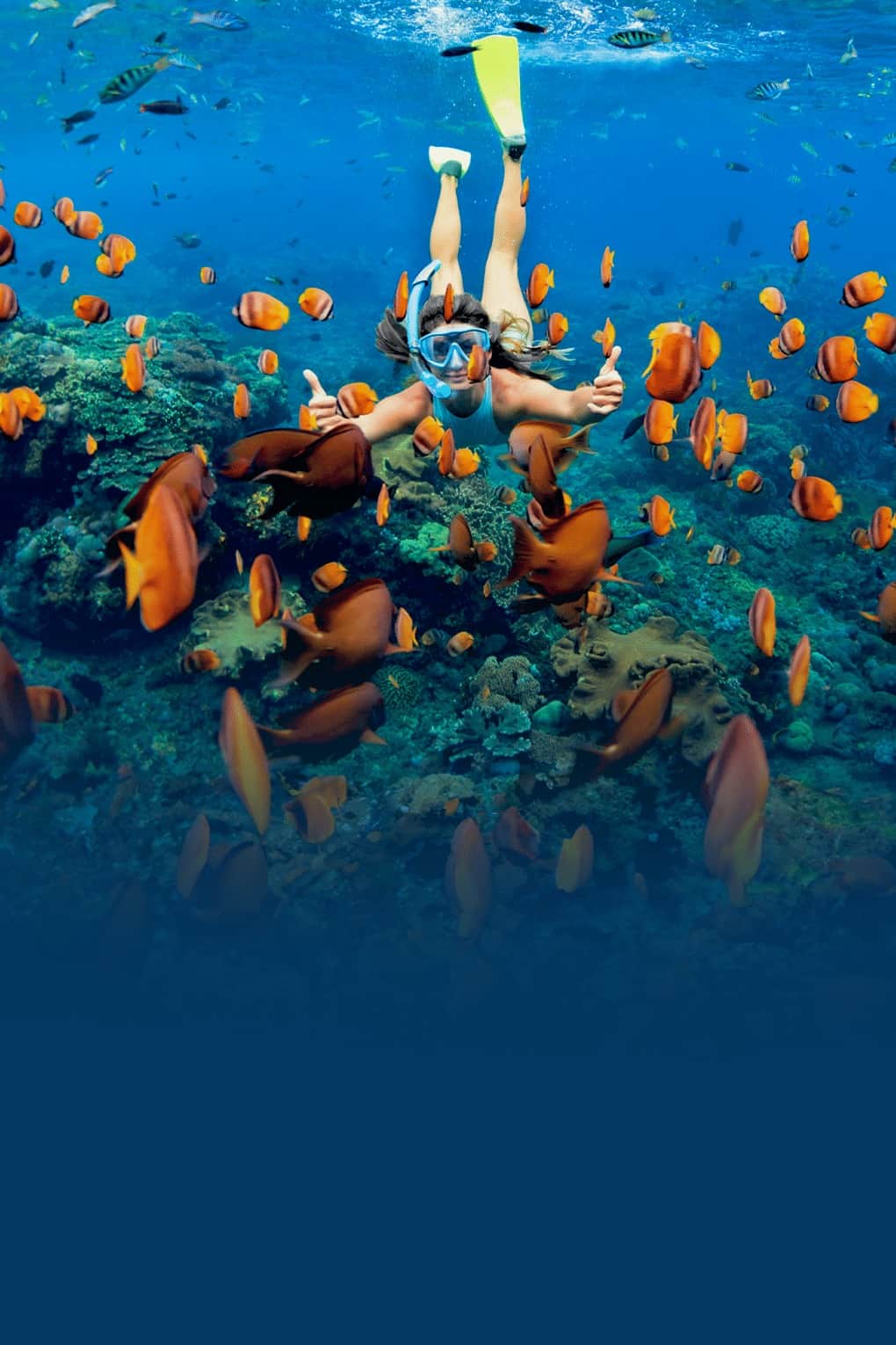 Romantic Trip to Andaman | From Sunset Shores to Island Wonders