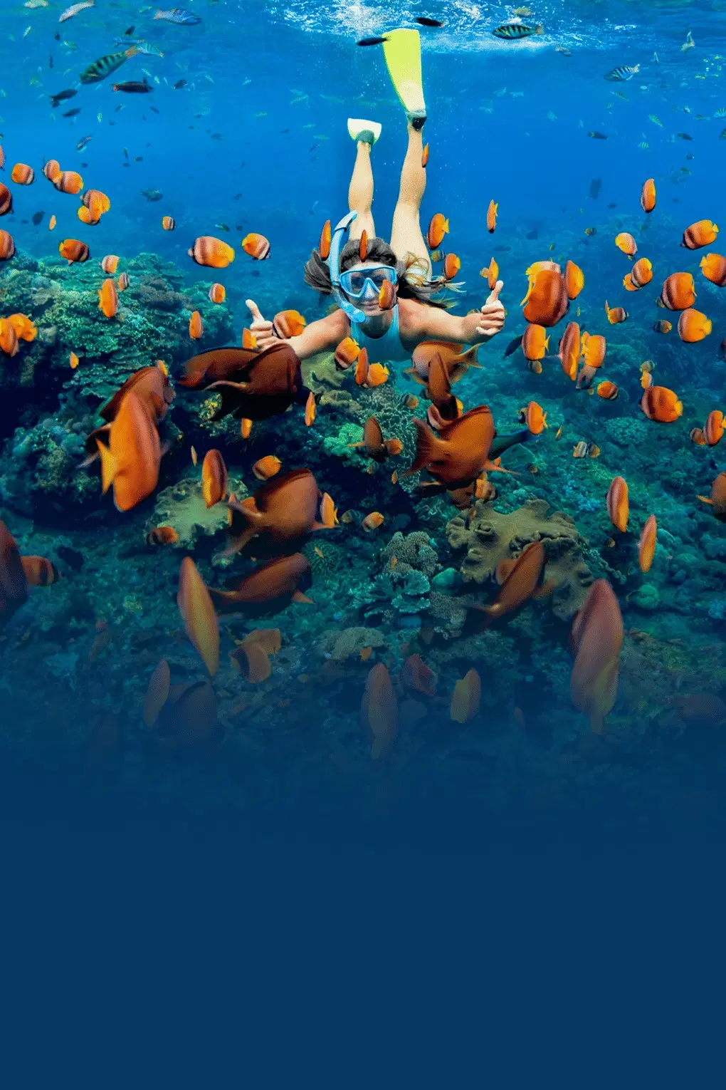 Romantic Trip to Andaman | From Sunset Shores to Island Wonders