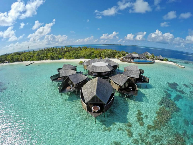 Lily Beach Resort Maldives Image
