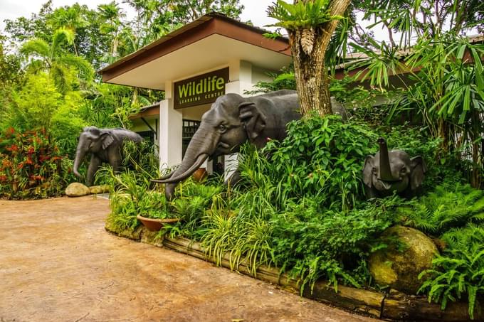 Singapore Zoo Tickets