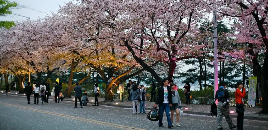 Yeouido Park