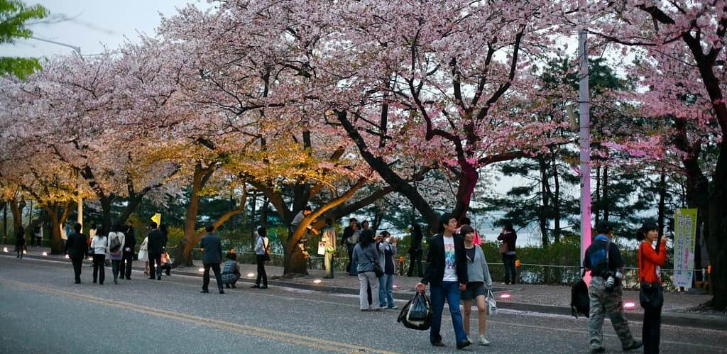 Yeouido Park