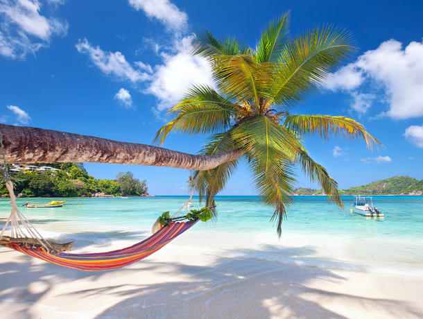 Seychelles 6 Days Luxury Honeymoon Package