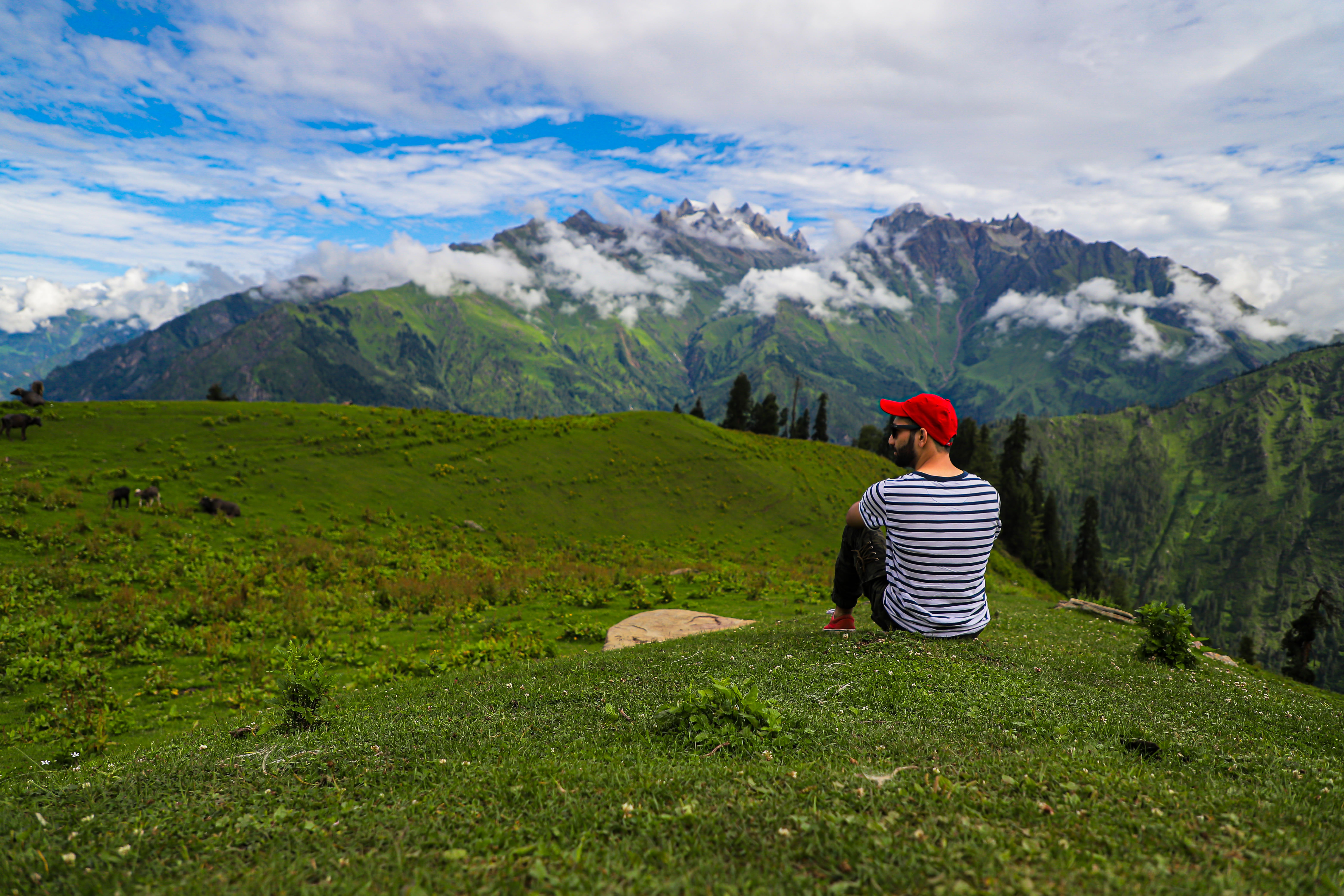 Behold nature's canvas come alive in Kasol
