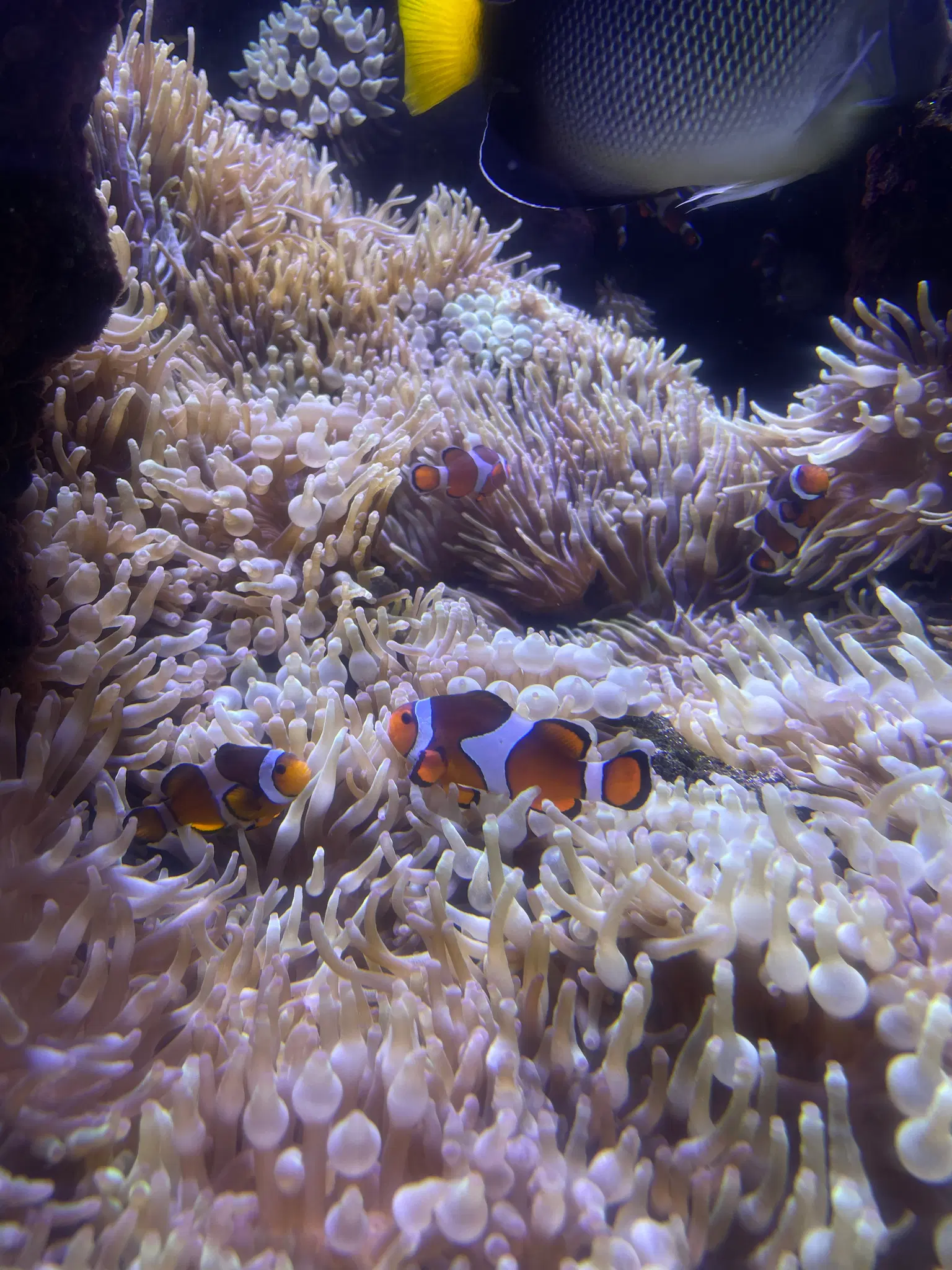Photo from ANGELA CHEUNG's trip