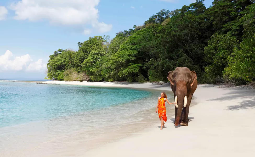 Best Things To Do In Andaman
