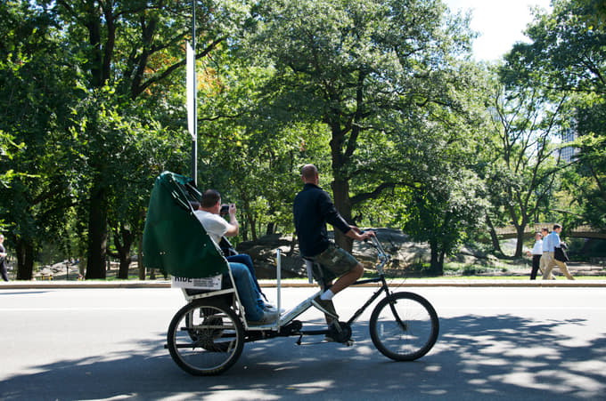 Roam around the Central Park in your own comfort