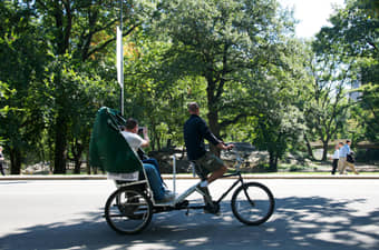 Roam around the Central Park in your own comfort