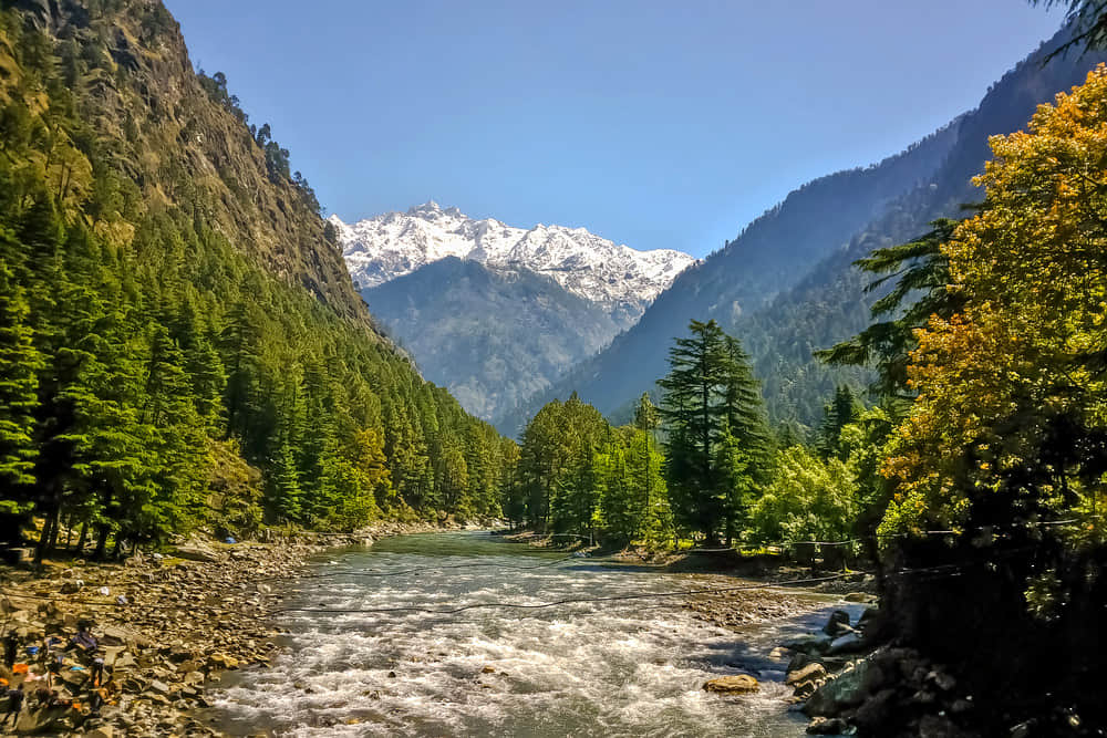Kufri Valley