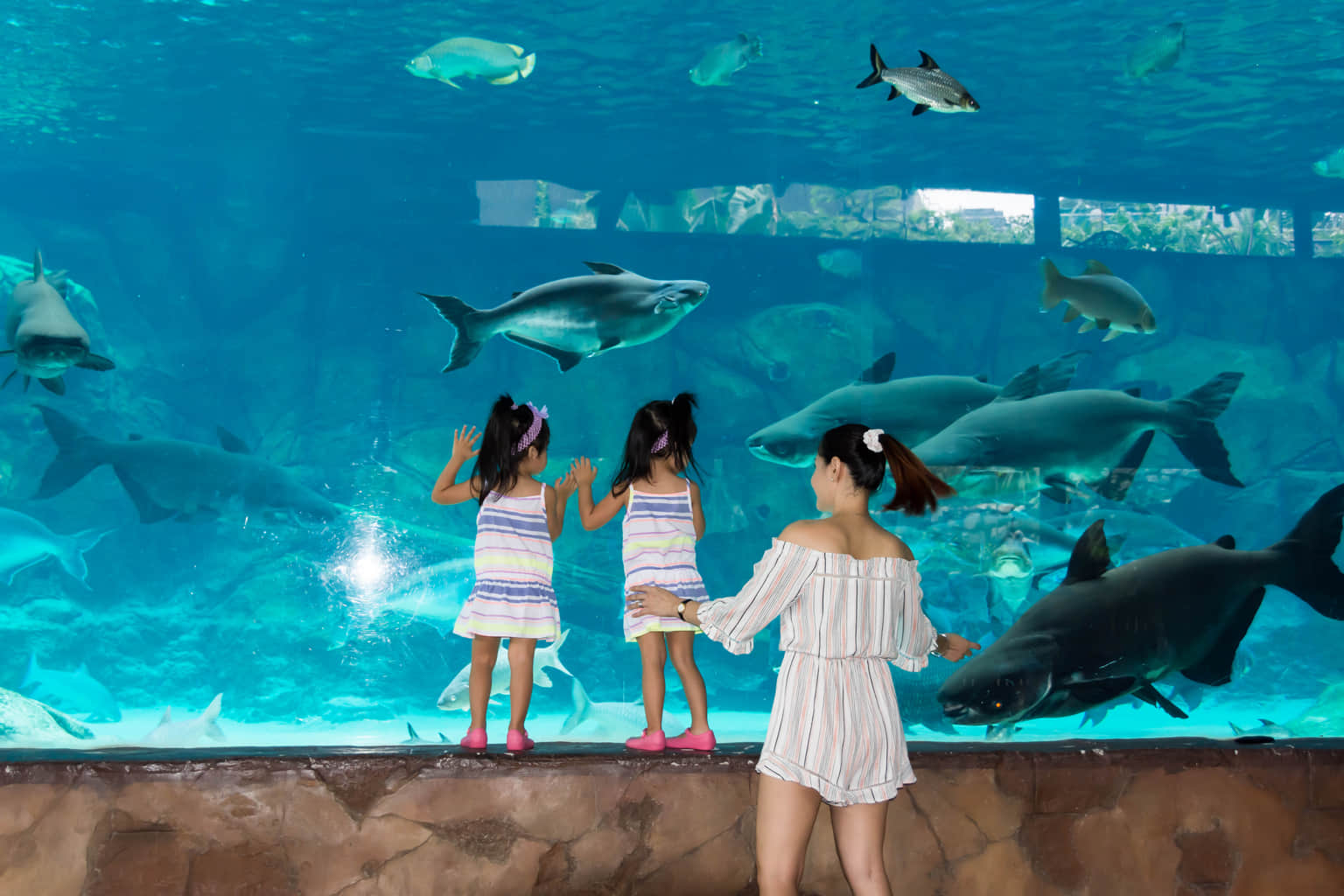 Children marveling at aquatic life along the scenic Singapore River