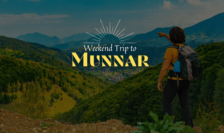 Visit Munnar with your friends and family for a great time