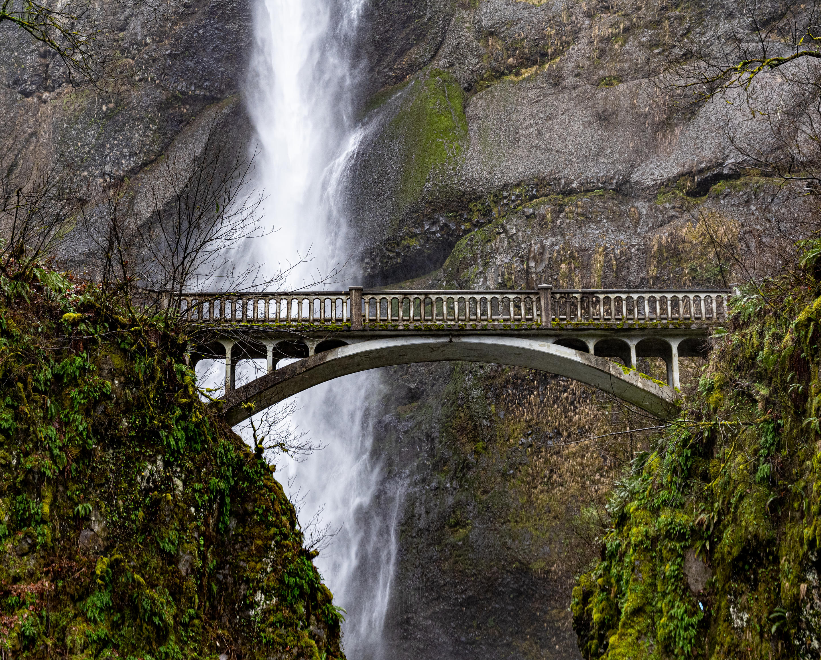 Benson Bridge Overview