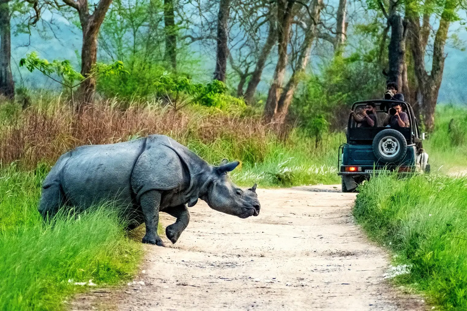 Meghalaya Trails | Waterfalls & Wildlife Special