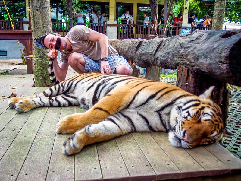 The Royal Bengal Tiger Cafe, Lake Gardens, Kolkata