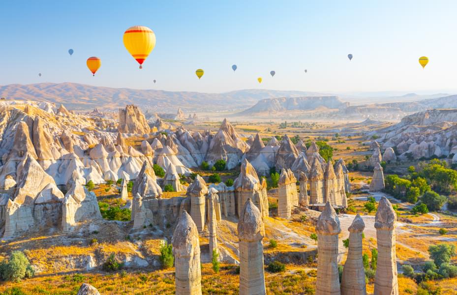 Cappadocia Hot Air Balloon Image