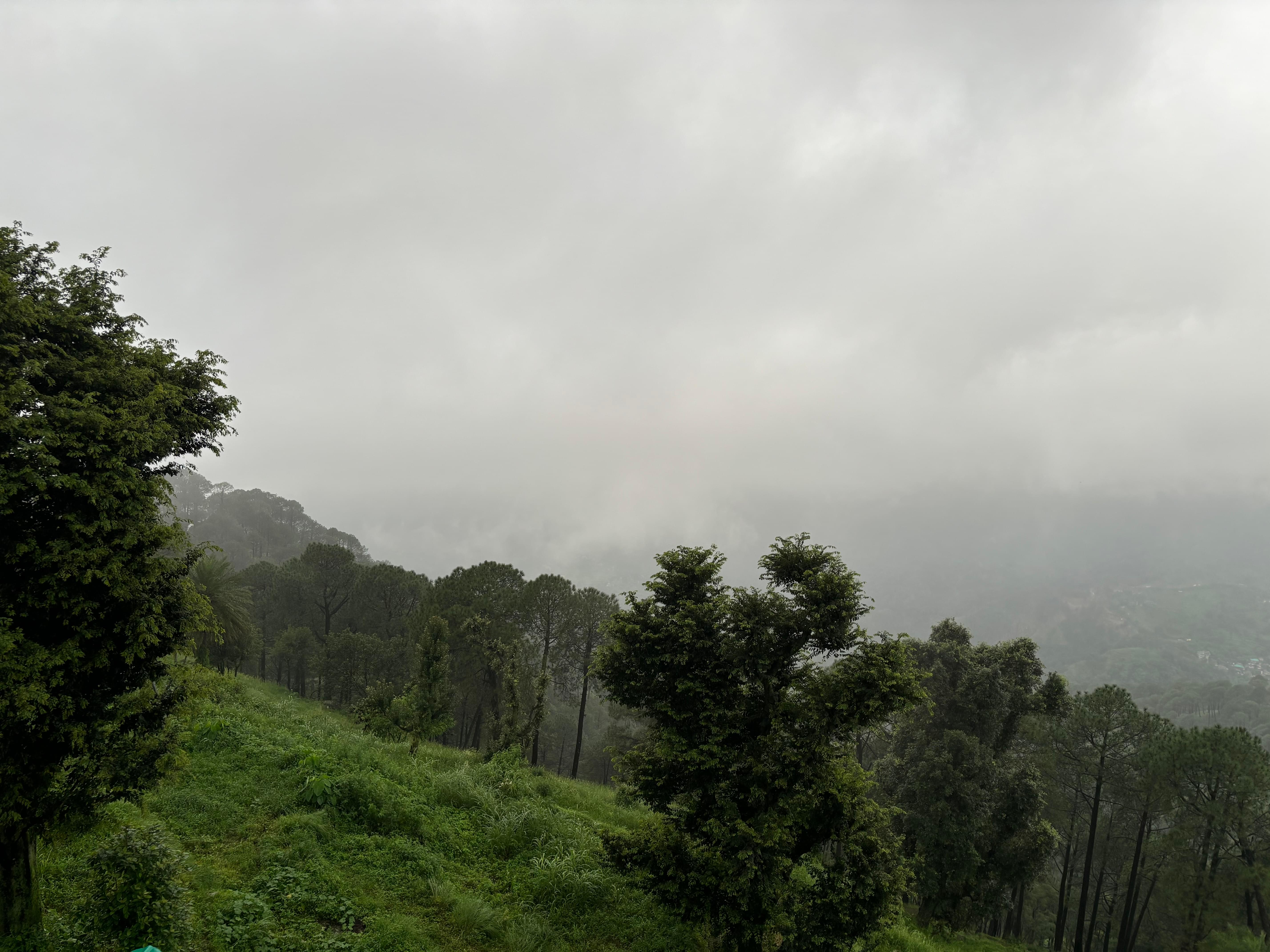 Srinivas Pradhaan