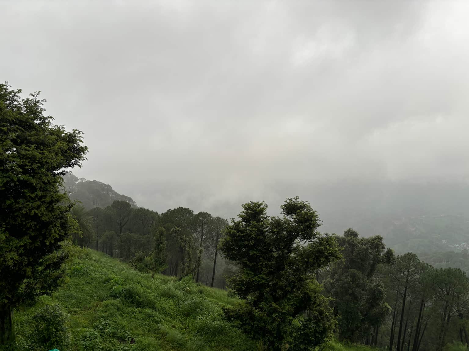 Photo from Srinivas Pradhaan's trip