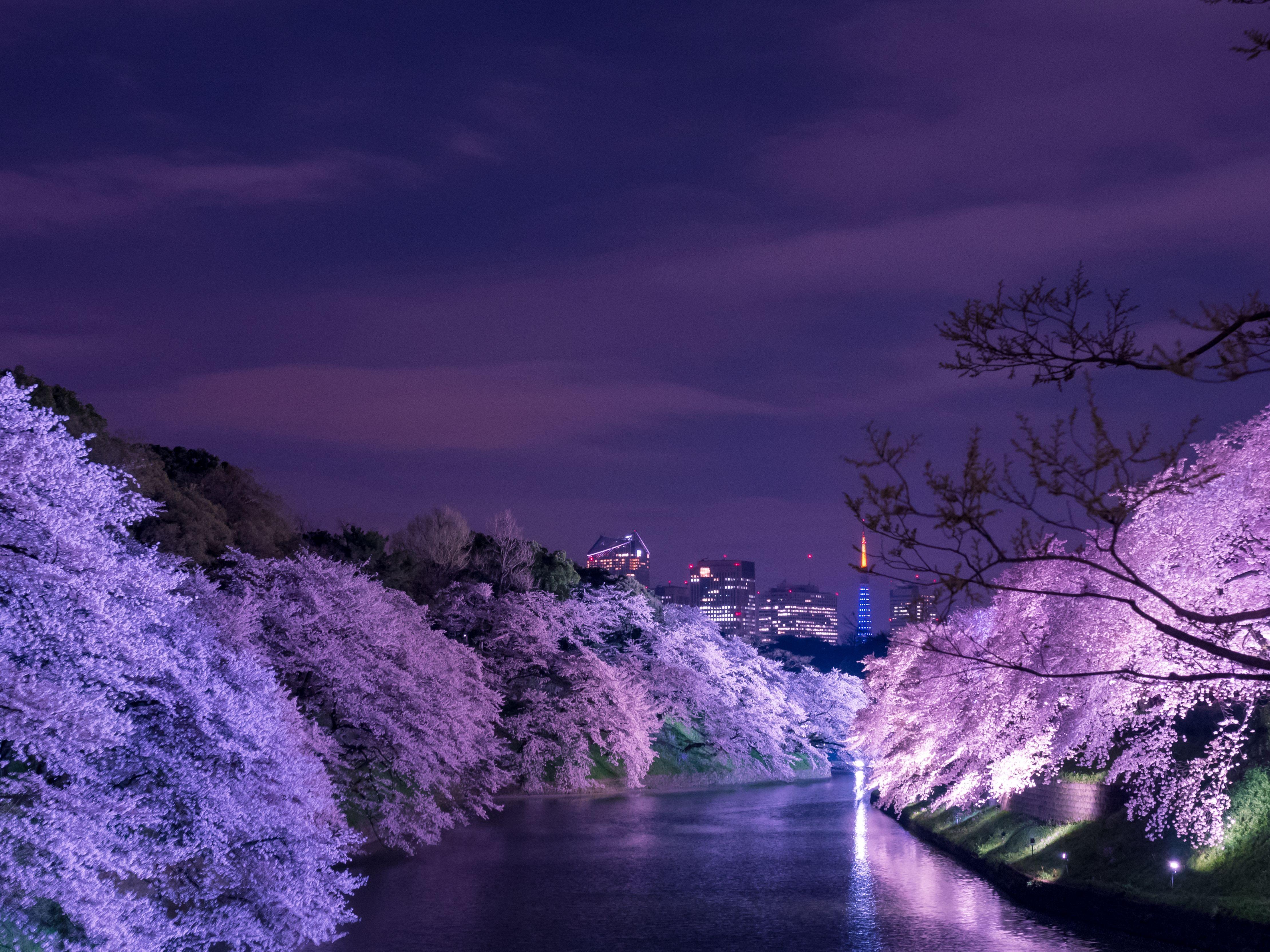 Chidorigafuchi