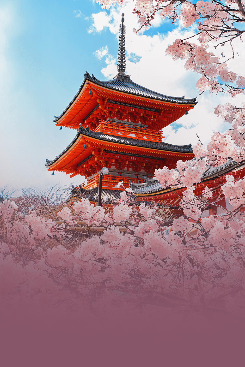 Best of Japan | A Cultural Odyssey Across Osaka & Tokyo