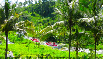 Lush landscape of Ayung River, Bali