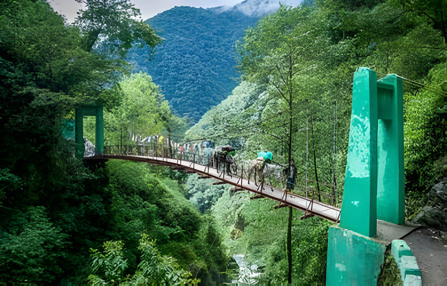 Pah Khola Bridge, <em>Sikkim</em>