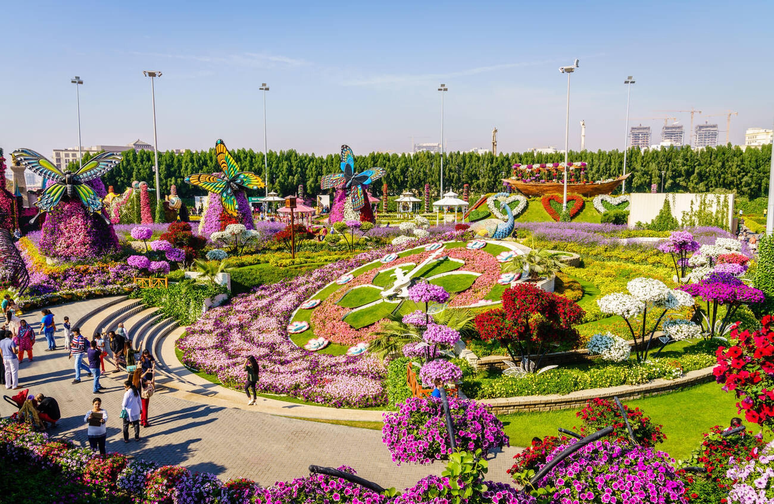 Miracle Garden