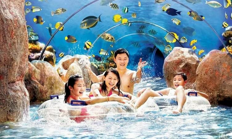 Adventure Cove Waterpark