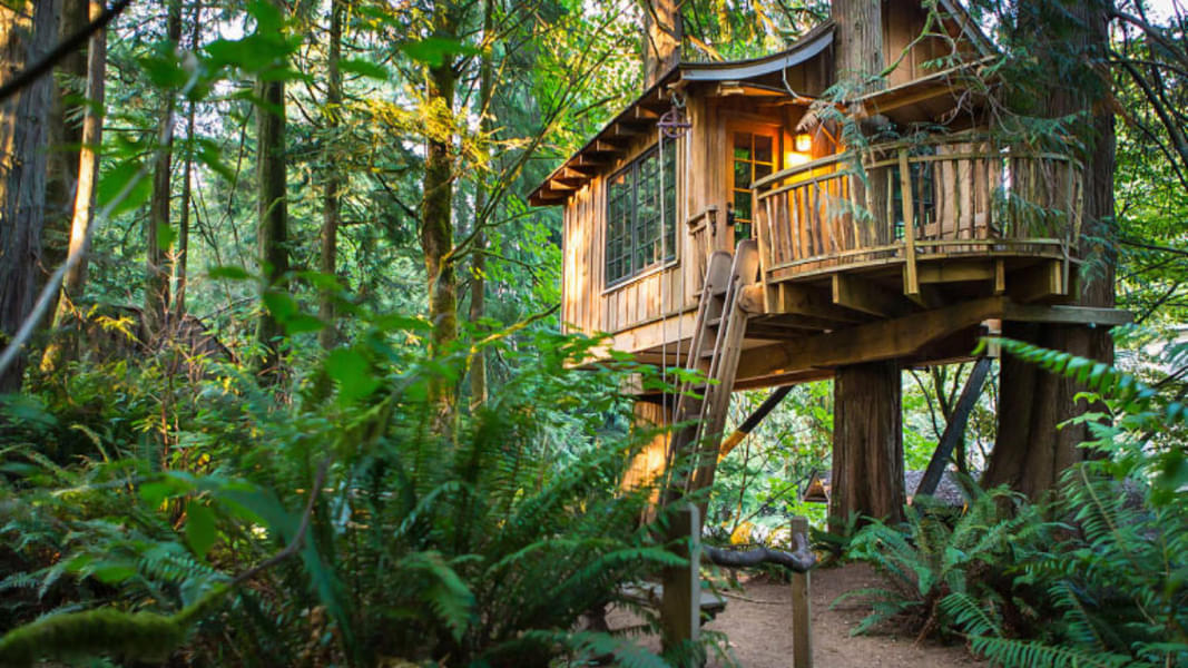 Tree House Hideaway Resort Image