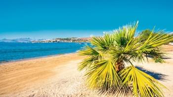 38n77be7skv8iwks5k3ox5lvblzn download%20 %202024 08 02t130125.603