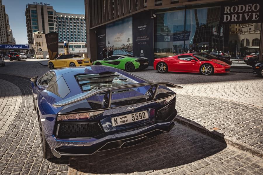Car Rentals in Dubai