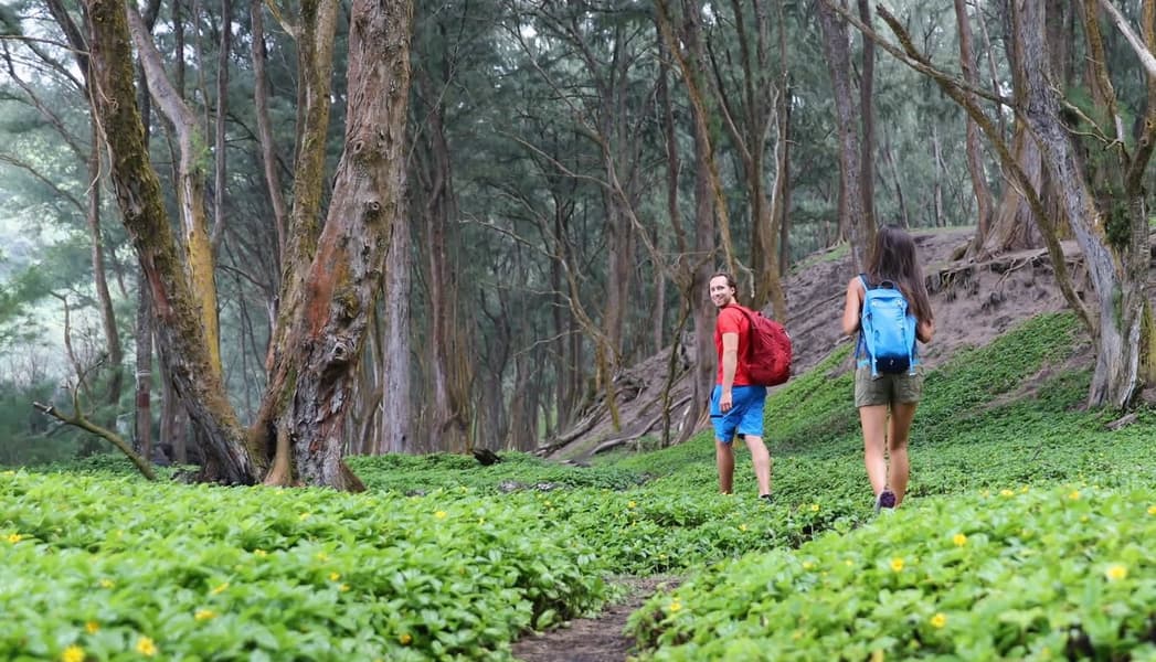 Offroad Jeep Ride & Sightseeing In Wayanad Image