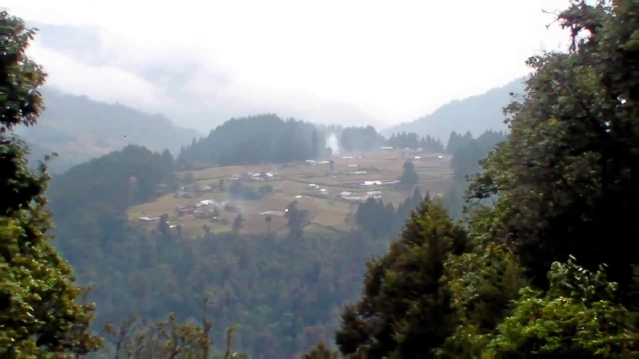 Photo from Deeksha Gill's trip