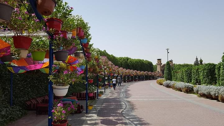 Dubai Miracle Garden's Valentine's Day