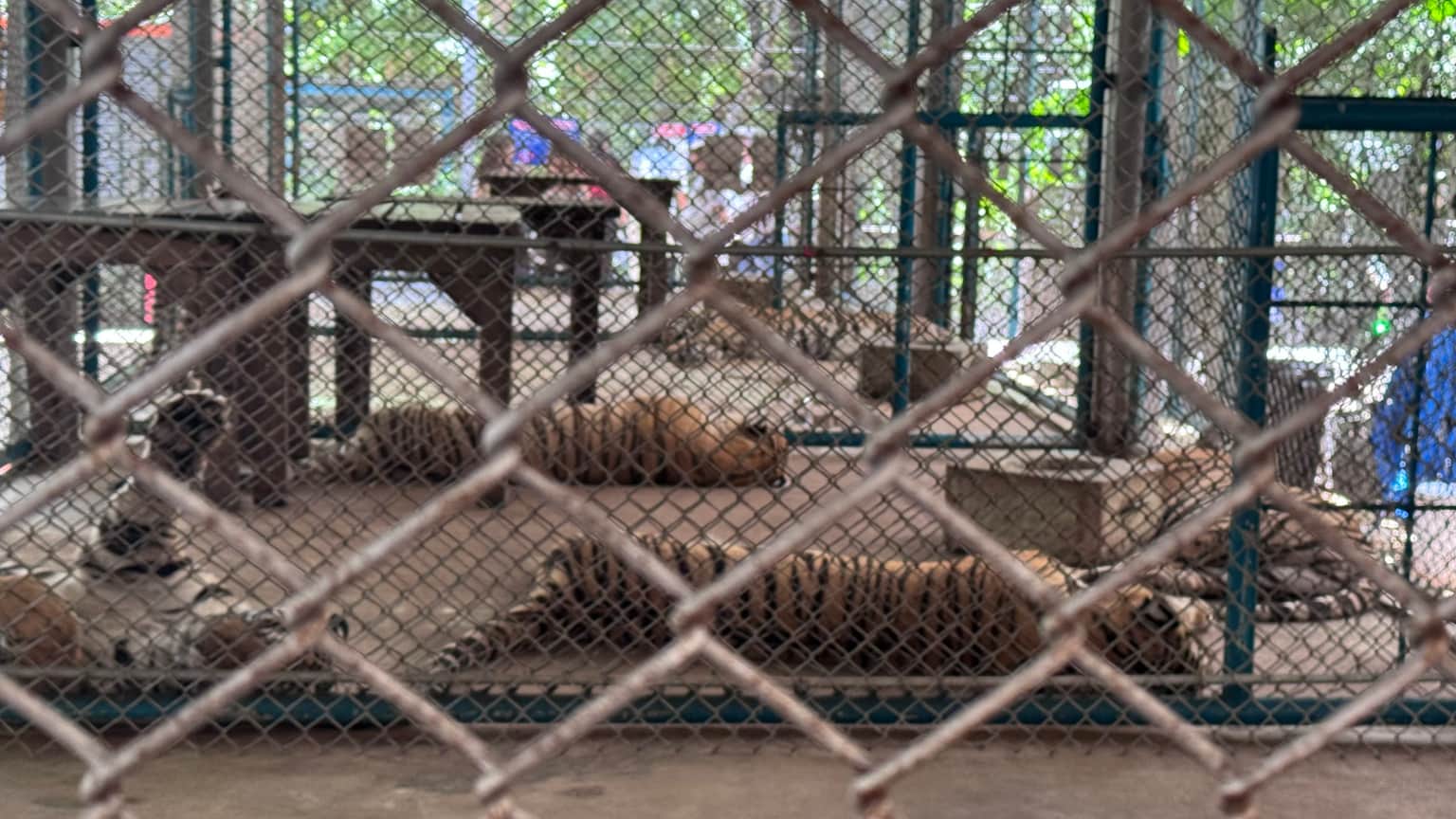 Photo from Anup Tripathi's trip