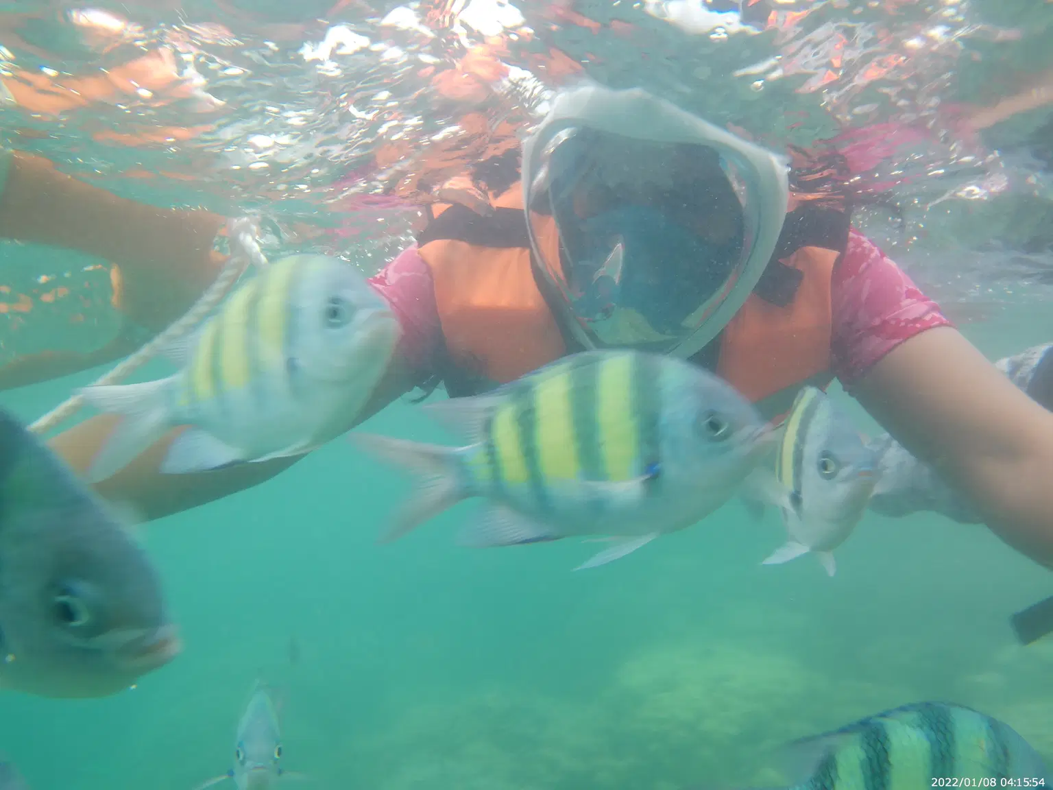 Photo from Sireesha  D's trip