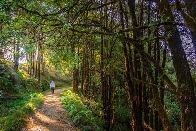 Explore the Lakeside Trails