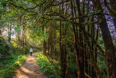 Explore the Lakeside Trails