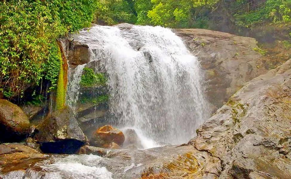 Waterfall Sightseeing Tour in Munnar Image