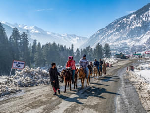 Sonmarg Sightseeing Tour