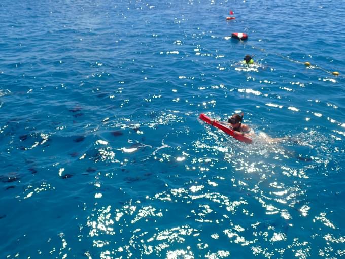 Snorkeling Oahu