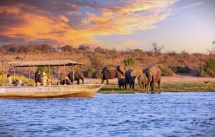 5 Days Wildlife Exploration in Chobe National Park & Okavango Delta